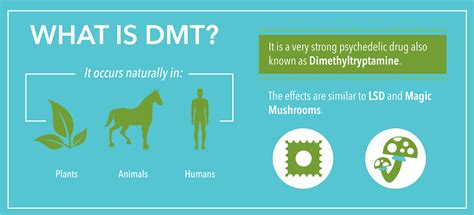 medications that are similar to dmt
